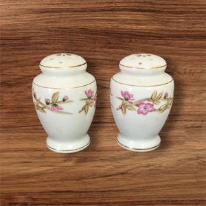 May include: Two white porcelain salt and pepper shakers with a floral design. Each shaker has a gold rim and a pattern of pink flowers and gold leaves. The shakers are on a wooden surface.
