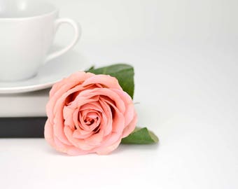 Download Free Teacup Stock Rose Stock Photo Floral Styled Stock Photography Tea Cup Mockup Product Mockup Styled Stock Photography Styled 0031 Best Free Psd Mockups To Download PSD Mockup Template