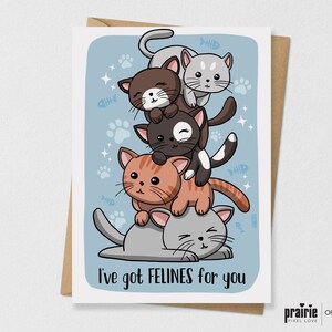Cat Pun Card, Cat Valentines Day Card, Cat Valentines, Kitty Birthday Card, Cat Gift, Cat Birthday Card, Pun Card, Punny Card, Cat Stack