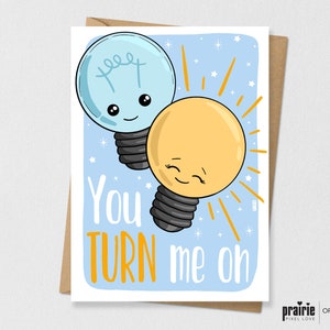 Gloeilamp Pun Card, Zet me op, Light Card, Birthday Card, Boyfriend Gift, Girlfriend Birthday Card, Pun Card, Electrical, Electricity