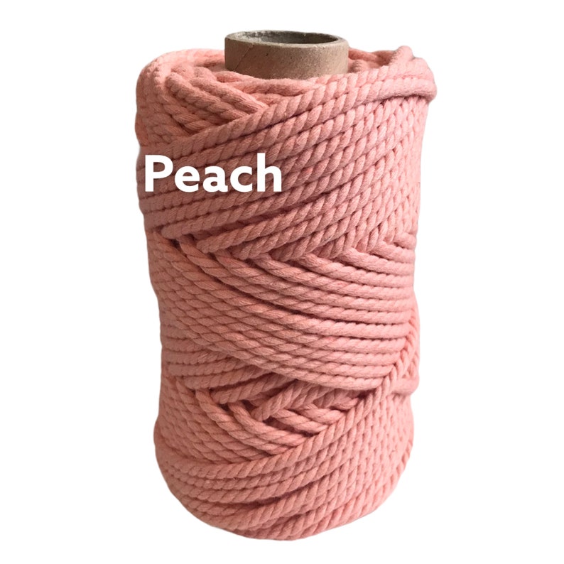 May include: A spool of thick, twisted peach-colored cord wrapped around a cardboard core. The word Peach is printed in white letters on the front of the cord. The rope has a textured, braided appearance with a consistent light orange hue.
