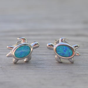 Könnte beinhalten: Ein Paar silberfarbene Schildkröten-Ohrstecker. Jeder Ohrring hat ein Schildkröten-Design mit einem ovalen, blau-türkisfarbenen Mittelteil. Die Ohrringe sind auf einer hellen Holzoberfläche platziert.