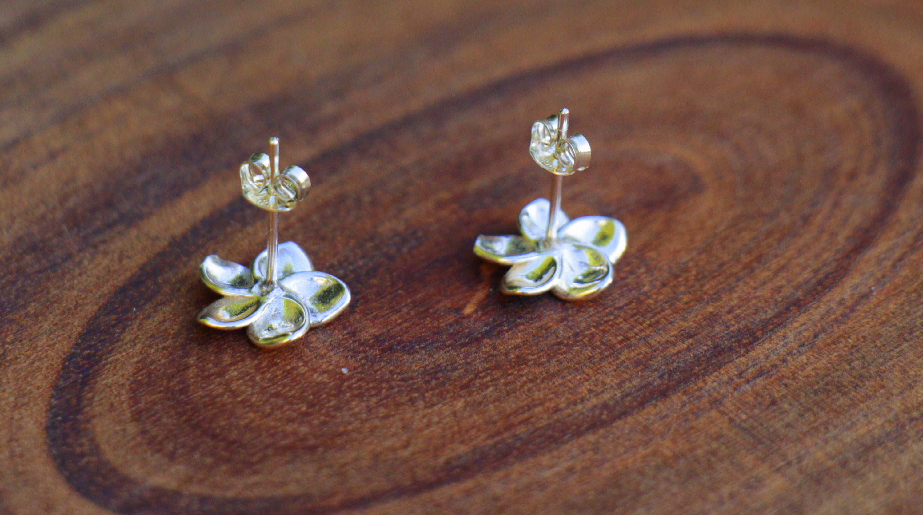 Illustrazione Ad Acquerello Del Fiore Di Plumeria Hawaiana Disegno Plumeria In Acquerello - Foto 6