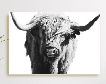 Highland Cow Canvas Wall Art - Black and White, Highland Cow Print, Cow Art, Cow Decor, Cow Gift, Highland Cattle Art, Highland Bull Print