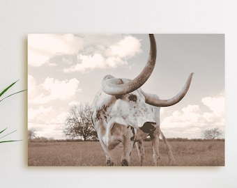 Longhorn Canvas Wall Art, Longhorn Steer Print, Large Wall Art, Longhorn Cow Art, Longhorn Bull Print, Southwestern Decor, Texas Decor