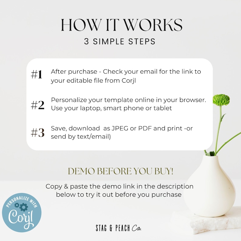 May include: A white background with a green plant in a white vase. The text "HOW IT WORKS" is in black at the top of the image. Below the text is "3 SIMPLE STEPS" in black. The steps are numbered 1, 2, and 3 in black. Each step is described in black text. The text "PERSONALIZE WITH Coryl" is in a circle with a gear icon in the lower left corner. The text "DEMO BEFORE YOU BUY!" is in black. Below the text is "Copy & paste the demo link in the description below to try it out before you purchase." in black. The text "STAG & PEACH Co." is in black at the bottom of the image.
