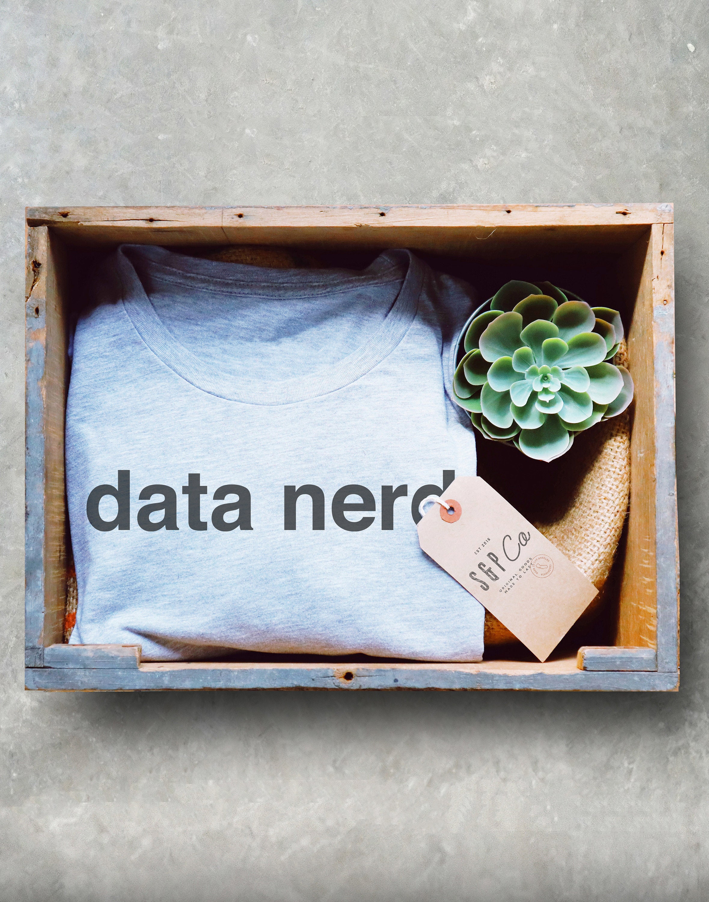 Data Nerd Unisex Shirt - Data Analyst Shirt, Data Analyst Gift, Analyst ...