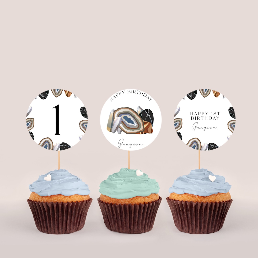 Geode Cupcake Toppers Geology Party Decorations, Geology Birthday Party