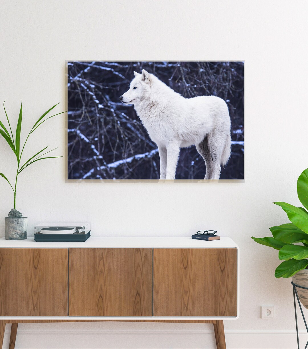 Wolf Canvas Wall Art Wolf Print, Wolf Wall Decor, White Wolf Canvas