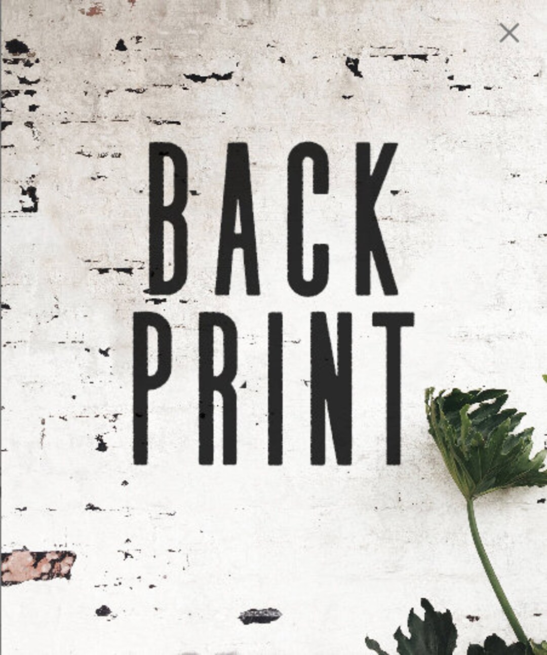 Custom Back Print/expedited Shipping/reship Incorrect Address/upgrade ...