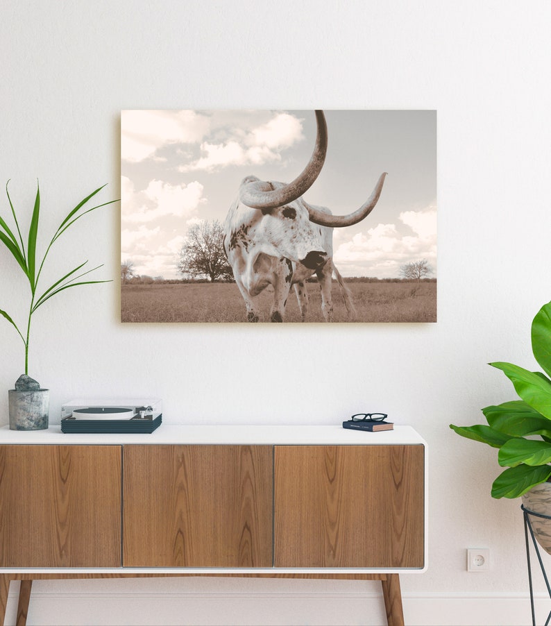 Longhorn Canvas Wall Art Longhorn Steer Print Large Wall Etsy