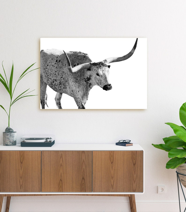 Longhorn Bull Canvas Close up Black and White Longhorn | Etsy