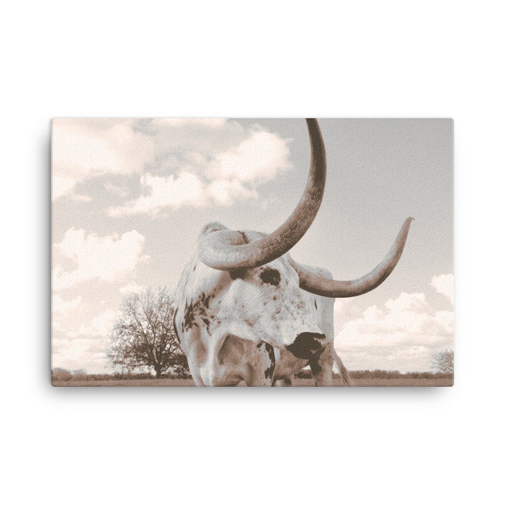 Longhorn Canvas Wall Art Longhorn Steer Print Large Wall Etsy UK