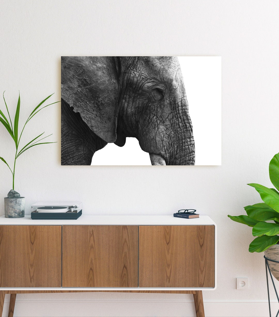 Elephant Canvas Black & White Elephant Wall Art Elephant Etsy