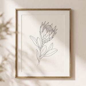 Può includere: Una stampa artistica incorniciata che presenta un disegno a linee nere di un fiore di protea con foglie su uno sfondo beige chiaro. L'opera è racchiusa in una sottile cornice in metallo dorato, presentando un'illustrazione botanica pulita.