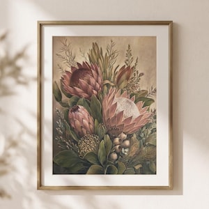 Puede incluir: Una lámina de arte enmarcada que presenta una ilustración botánica de un ramo de flores protea en tonos rosa empolvado, burdeos intenso y verde apagado, acentuado con pequeñas vainas redondas y follaje fino sobre un fondo beige neutro.
