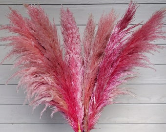 TALL PAMPAS 3-4FT - Large Fluffy Plume - Pink Balayage | Preserved-Dried Pampas Grass