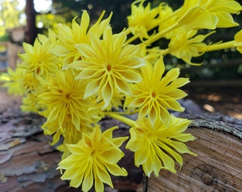 Preserved-Dried Star Flowers - Bright Yellow | Wedding,Event,Decor,Bouquet,Centerpiece,Arrangement,Filler,Floral