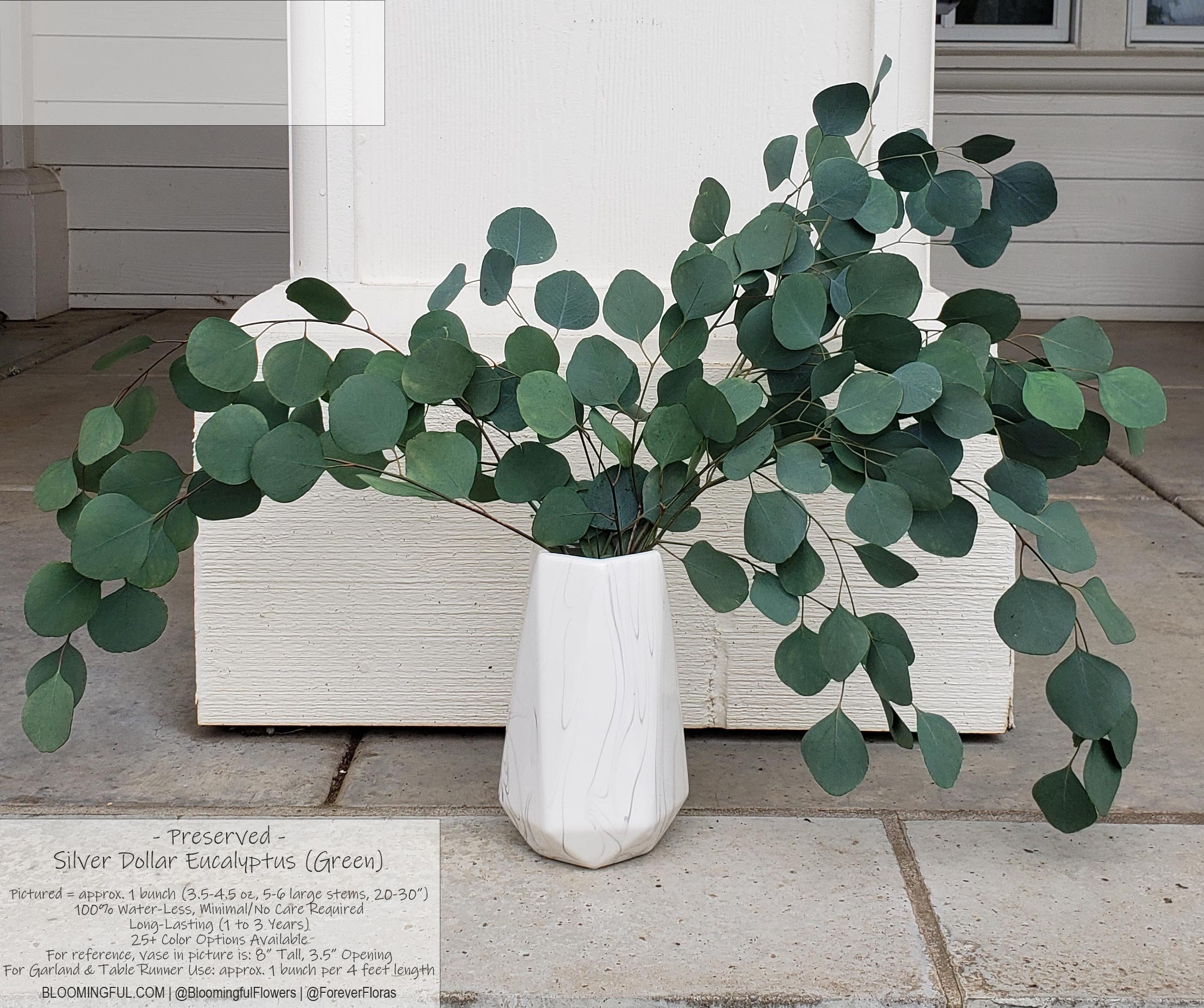 Eucalyptus for Weddings & Events PreservedDried Silver Etsy