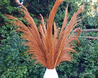 TALL PAMPAS 3FT - Silky Large Plume - Terracotta Orange |  Preserved-Dried Pampas Grass