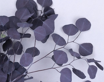 Eucalyptus PRESERVED-DRIED Silver Dollar Purple Violet (Long-Lasting)||Decor,Wedding,BabyShower,Gift,Housewarming,Bouquet,Garland,HomeOffice