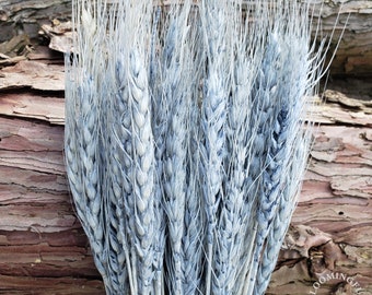 Dried Wheat Flowers, 50 stems  - Dusty Blue Gray | decor, wedding, bride, bridal, bouquet, arrangement, centerpiece, gift, event