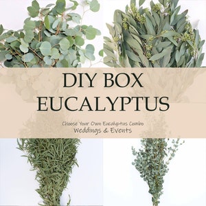 DIY Wedding Box Overnight Shipping Fresh Assorted Eucalyptus for Weddings & Events image 1