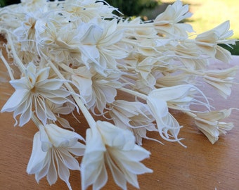 Dried Nigella Star Flowers - Bleached White / Cream / Ivory | Wedding,Event,Decor,Bouquet,Centerpiece,Arrangement,Filler,Floral