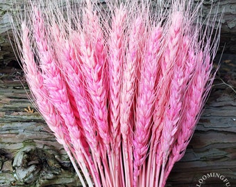 Dried Wheat Flowers, 50 stems  - Hot Pink, Magenta | decor, wedding, bride, bridal, bouquet, arrangement, centerpiece, gift, event