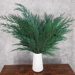 May include: A bunch of green cedar sprigs in a white ceramic vase. The vase is on a wooden table.