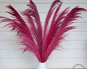 TALL PAMPAS 3-4FT - Large Silky Plume - Pink Magenta | Preserved-Dried Pampas Grass