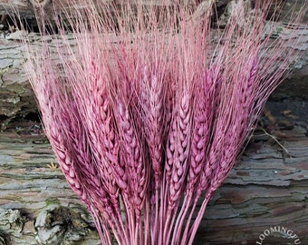 Dried Wheat Flowers, 50 stems - Rose, Mauve, Lavender Purple Pink | decor,wedding,bride,bridal,bouquet,arrangement, centerpiece, gift, event