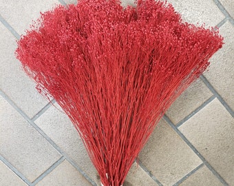 Dried Bloom Broom Flowers | Red (Baby's Breath Gypsophila Alternative)