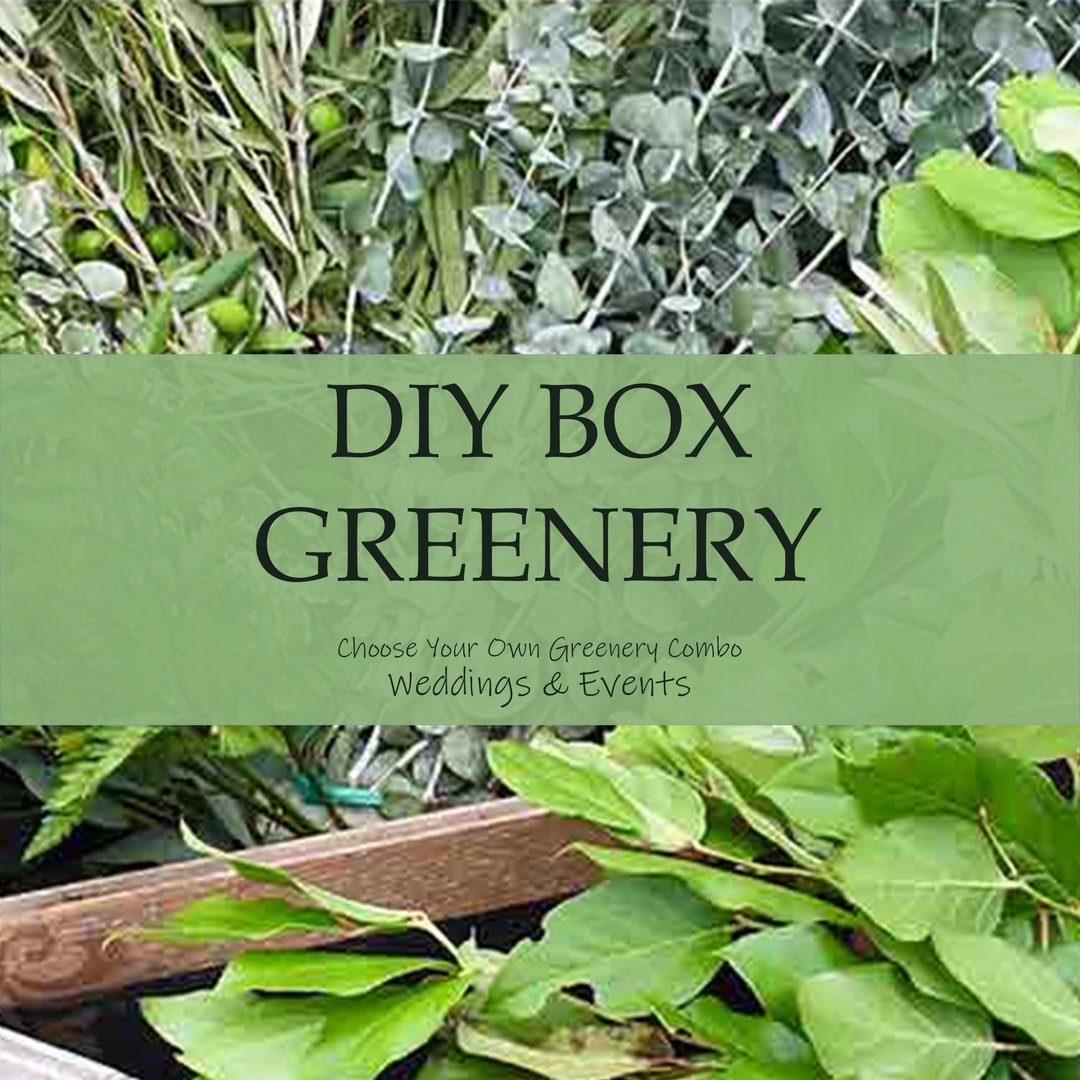 Box Greenery DIY Wedding Box - Fresh Greenery for Weddings & Events - Create Your ...