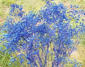 Blue Baby's Breath, Fresh or Dried, CUSTOM COLORING | Blue, Babies, Wedding, Shower, Bridal, Event, Flower, Bouquet, Arrangement