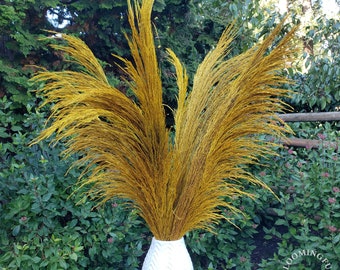 TALL PAMPAS 3FT - Silky Large Plume - Golden Yellow | Preserved-Dried Pampas Grass