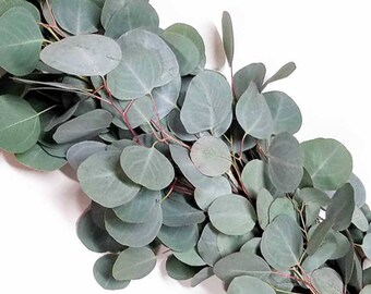 FRESH EUCALYPTUS GARLAND -- FedEx 1-Day Shipping Included || Silver Dollar Eucalyptus