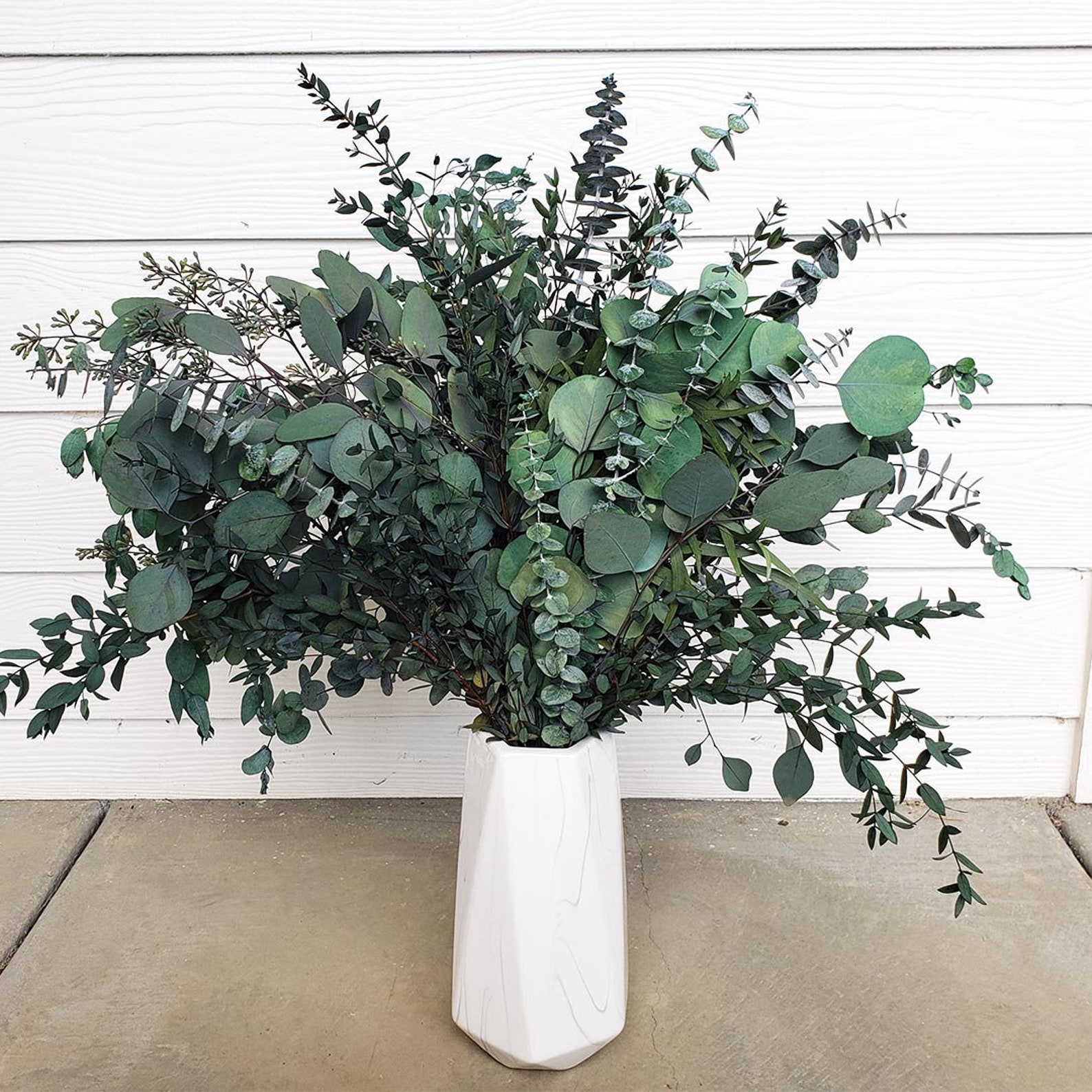 PRESERVEDDRIED EUCALYPTUS 1620 Stem Bunch Etsy