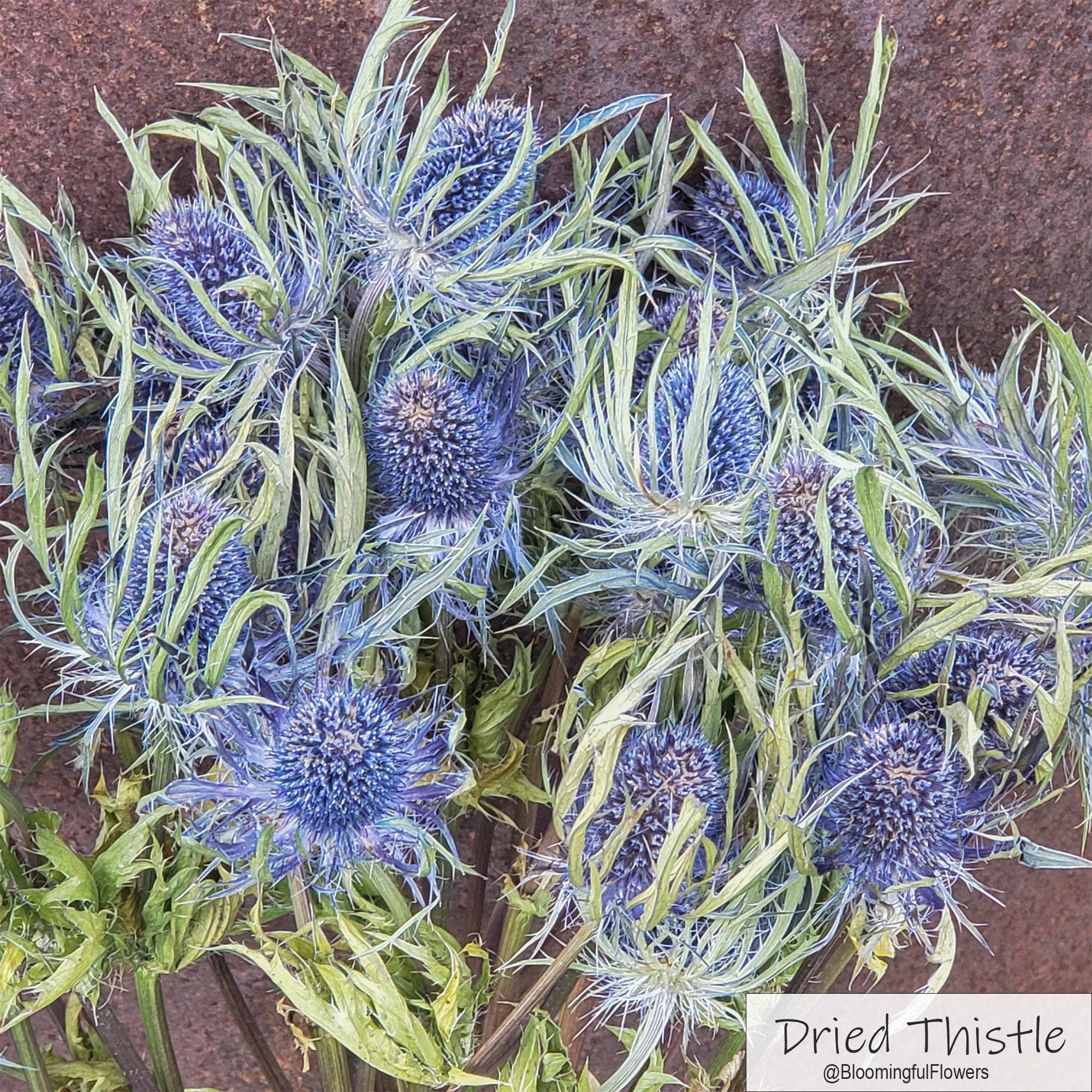 Lovmeety 6Pcs Artificial Purple Thistle Flowers - Silk Faux Eryngo Stems For Home & Wedding Decor