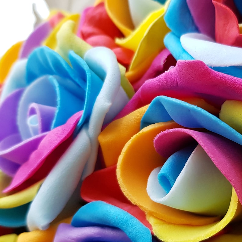 Rose Box Rainbow Rose Box Rainbow Roses in a Box Rose Etsy