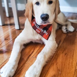 Dog Birthday Bandana | Buffalo Plaid