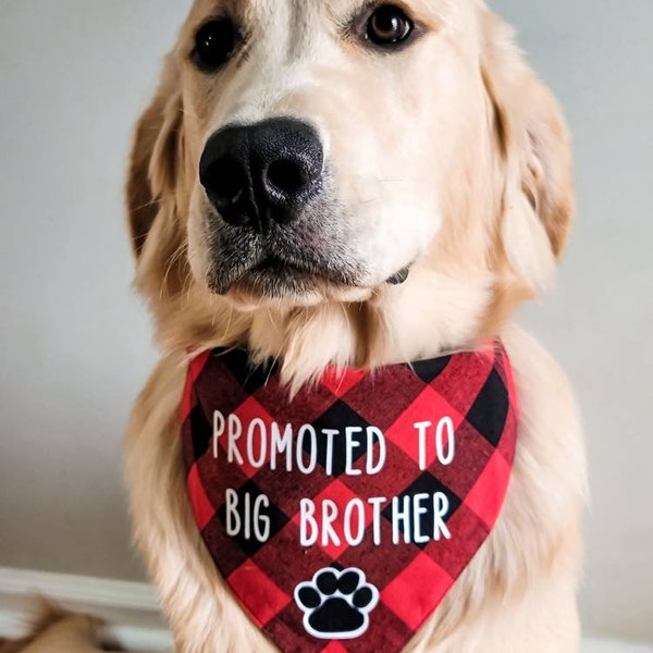 Promoted to Big Brother/Sister Dog Bandana | Dog Bandana Promoted | Big Bro