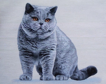 Chartreux cat pillow head shaped Chartreux cat pillow head shaped