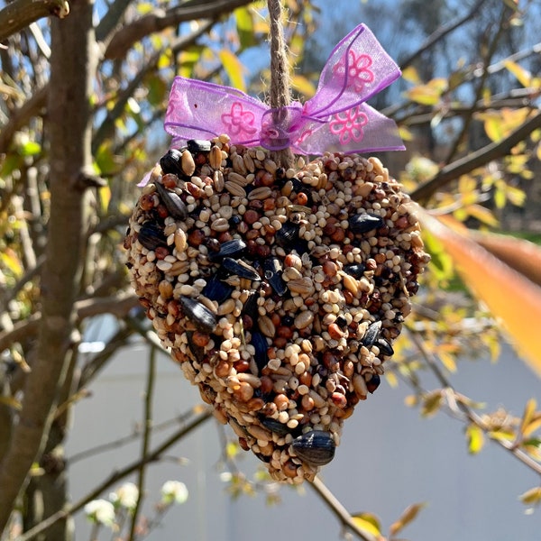 Bird Seed Heart Etsy