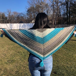 Caron Cakes Shawl