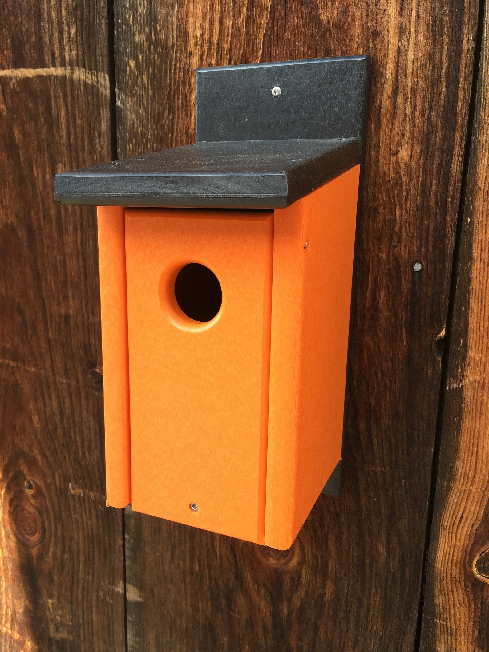 Recycled Plastic Bluebird Birdhouse Etsy