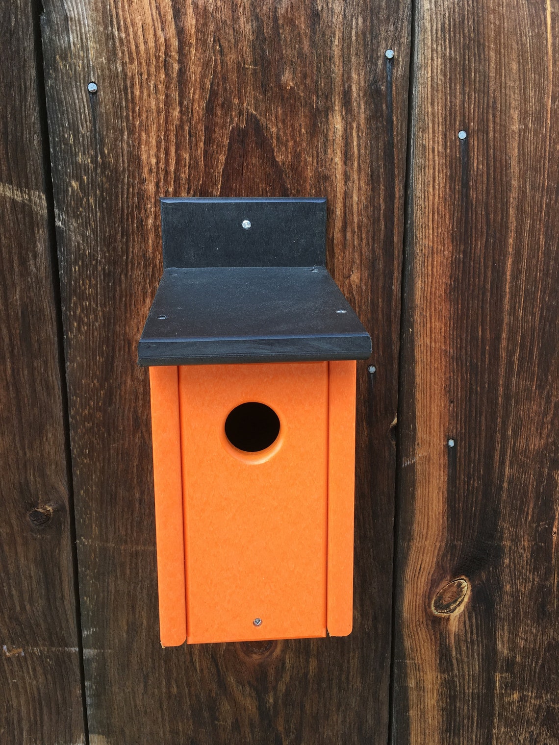 Terry Made A Plastic Birdhouse Recycled Plastic Bluebird Birdhouse | Etsy