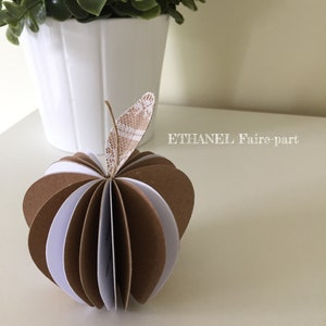 Menu mariage pomme, pomme en 3D, kraft et dentelle, menu orignal, menu en relief, lot de 5