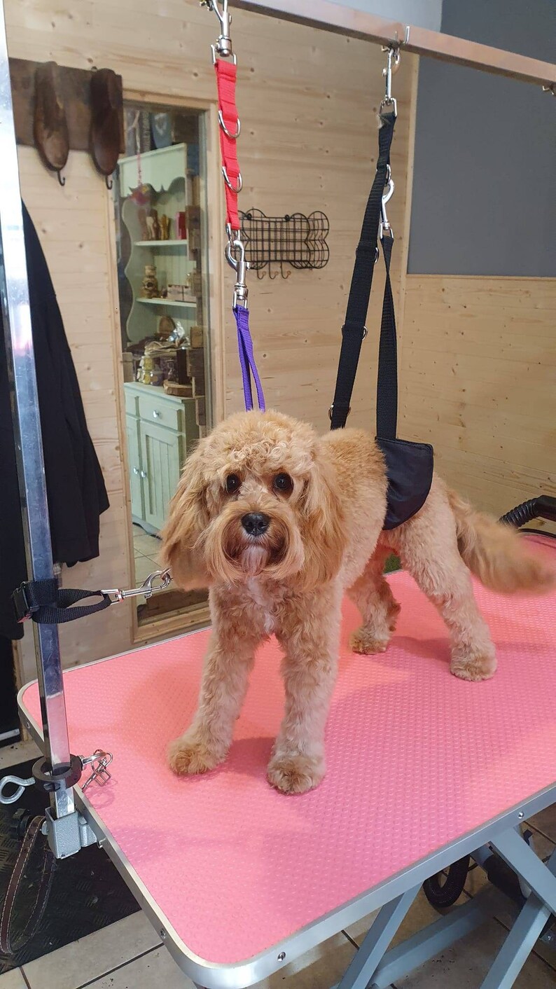 Dog Grooming Belly Strap With Sleeve Etsy