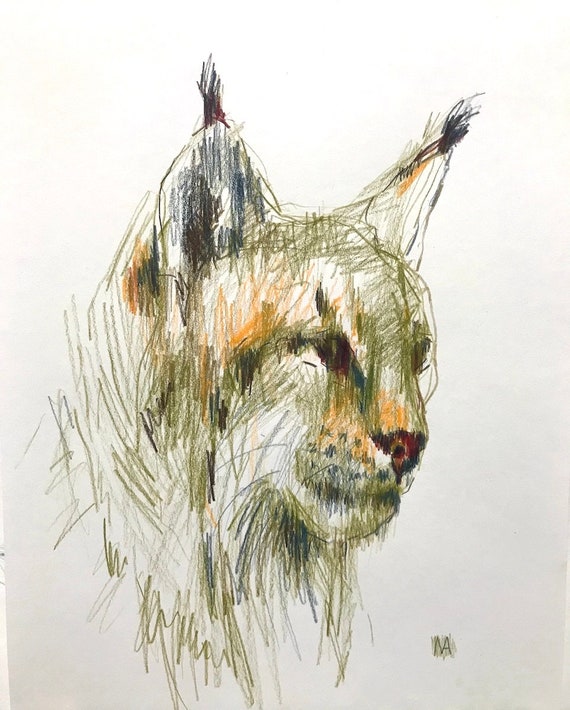 Dessin Expressif Dun Chat Lynx Art Du Chat Chat Sauvage Etsy Canada